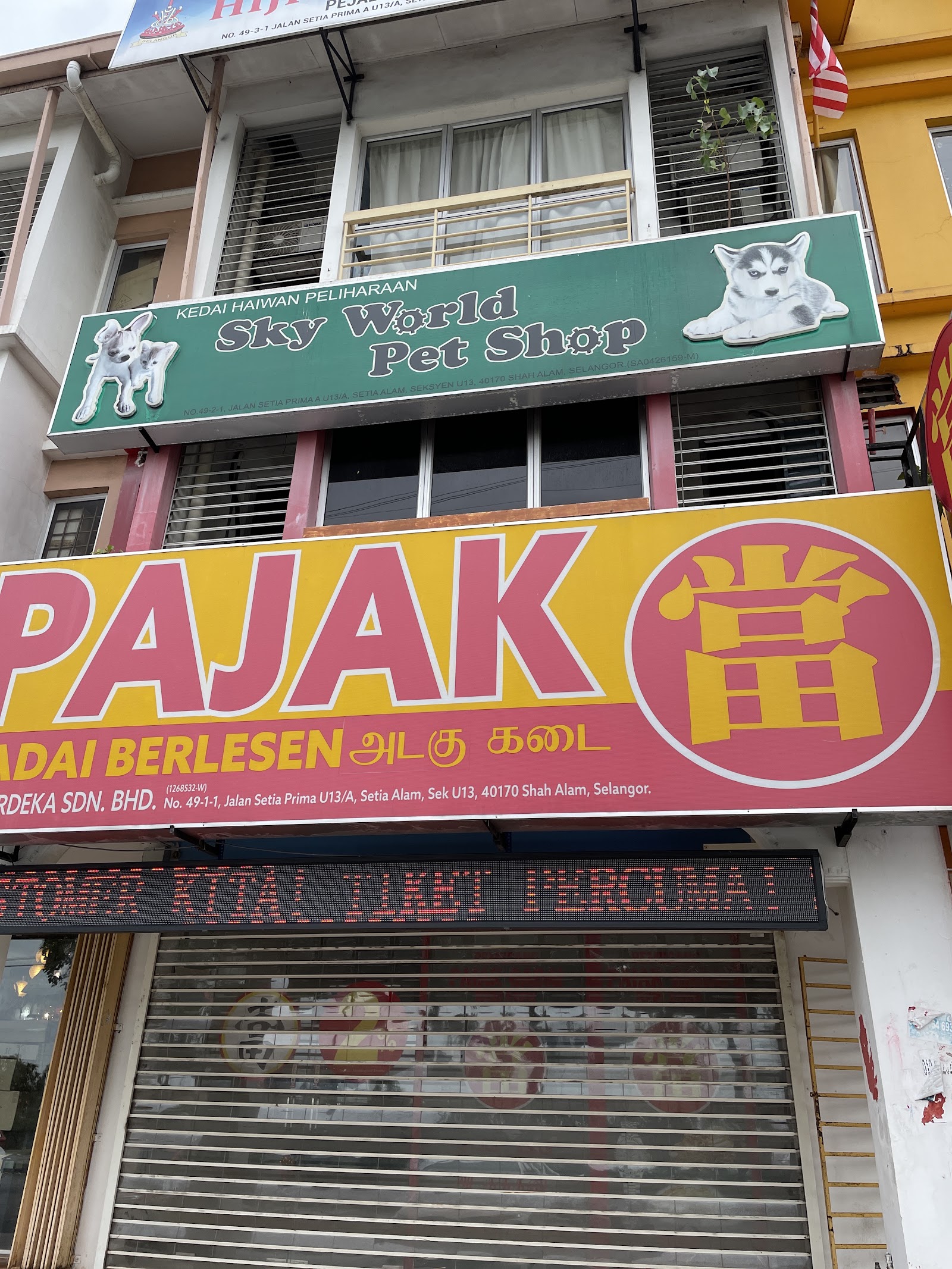 World Pet Shop 9