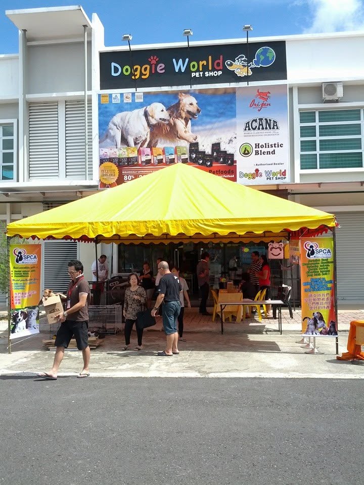 World Pet Shop 11